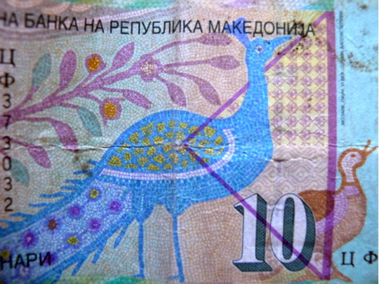 Copyrigth: Fritz Niemann