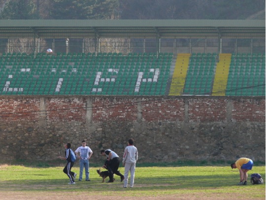 Copyrigth: Fritz Niemann