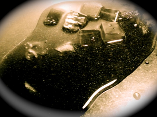 Copyright: Fritz Niemann