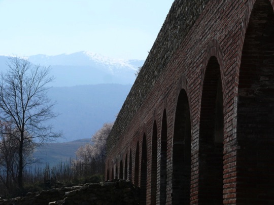 Copyright: Fritz Niemann