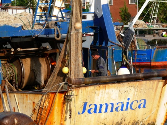 Copyright: Fritz Niemann