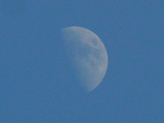 Copyright: Fritz Niemann