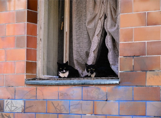 Copyright: Fritz Niemann