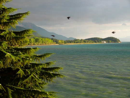 Copyright: Fritz Niemann