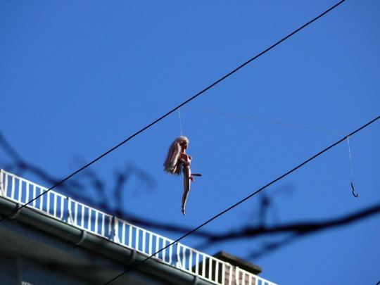 Copyright: Fritz Niemann