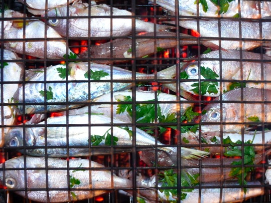 Copyright: Fritz Niemann