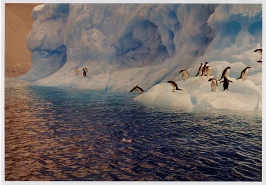 Copyright: Fritz Niemann