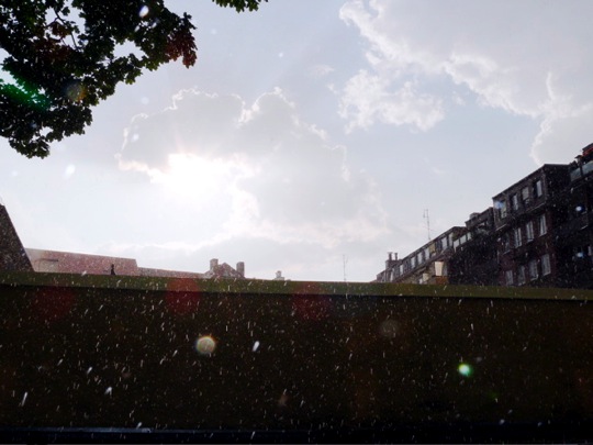 Copyright: Fritz Niemann