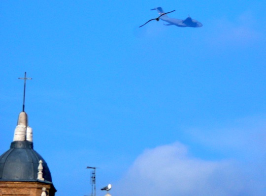 Copyright: Fritz Niemann