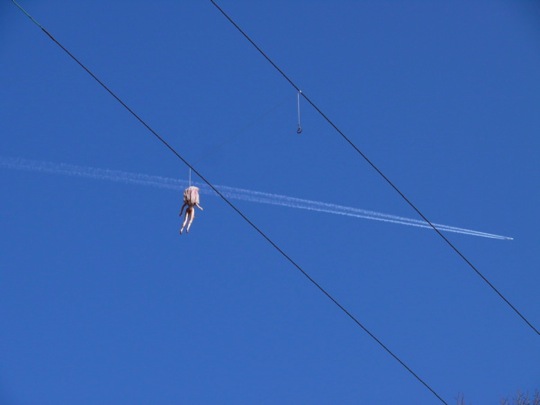 Copyright: Fritz Niemann