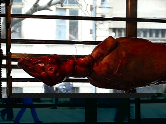 Copyrigth: Fritz Niemann