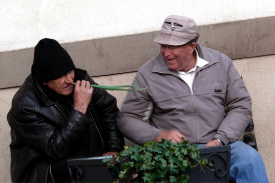 Copyrigth: Fritz Niemann