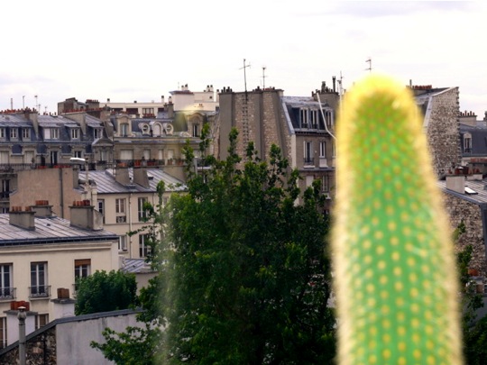 Copyright: Fritz Niemann