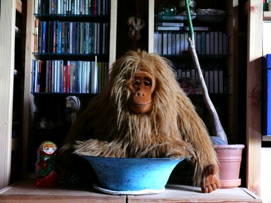 Copyright: Fritz Niemann